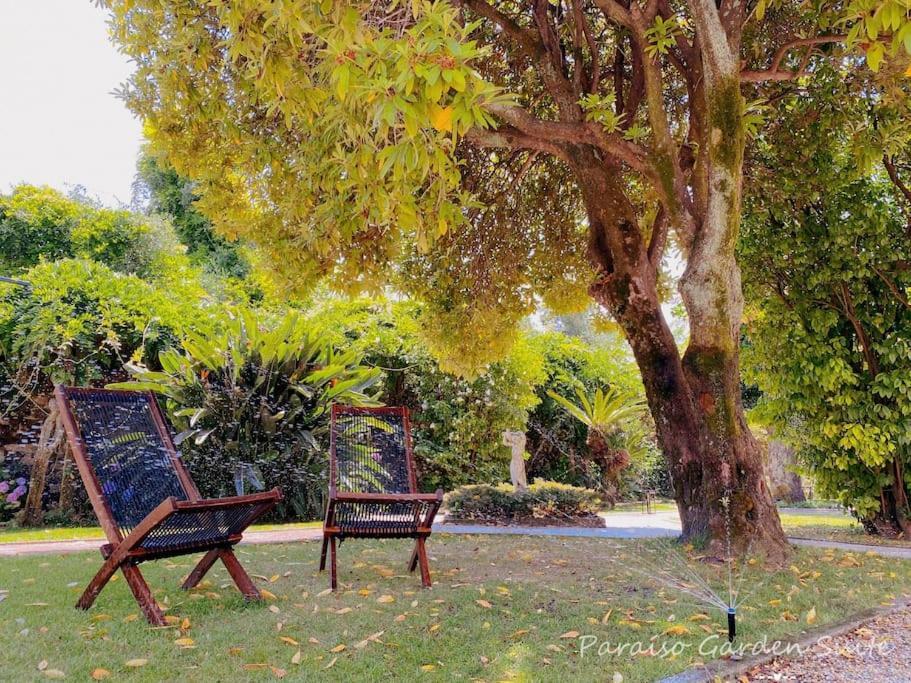 Paraiso Garden Suite--- Spacious & Downtown Porto Exterior foto